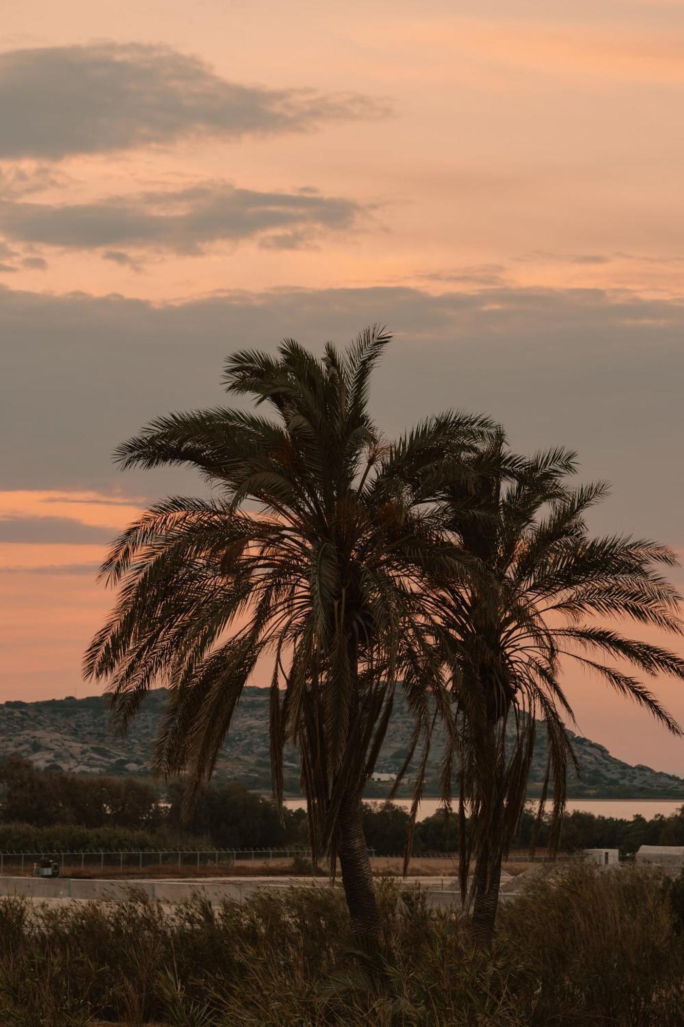 Villa Vaya Agia Anna  Bagian luar foto